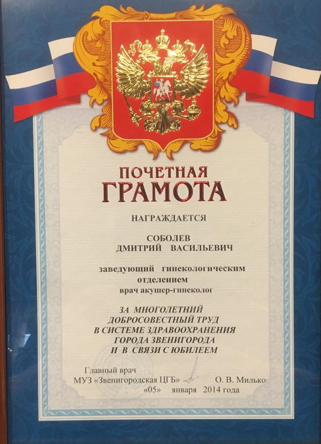 Сертификат 7